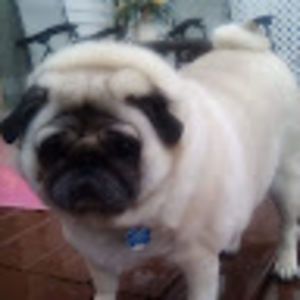 Meet your Posher, Cori-anne